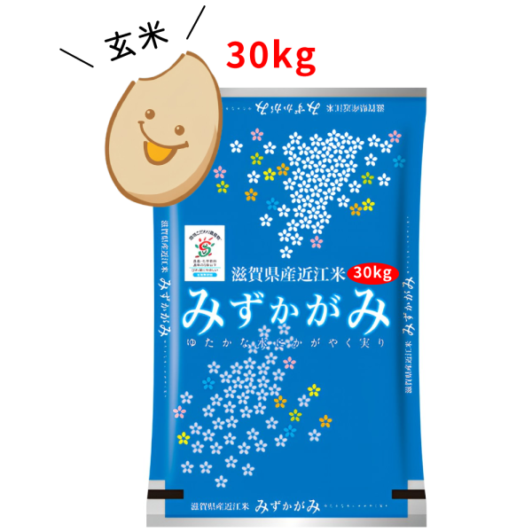 【玄米】綿向米（みずかがみ）30kg