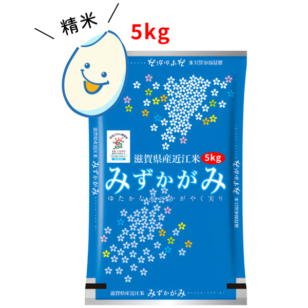 【精米】綿向米（みずかがみ）5kg