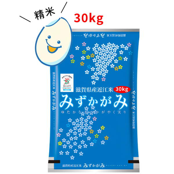 【精米】綿向米（みずかがみ）30kg